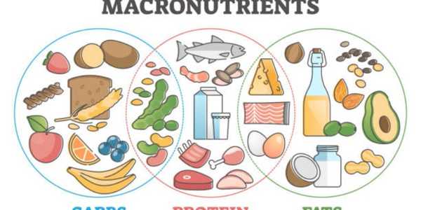 Understanding Macronutrients: Carbs, Proteins, And Fats